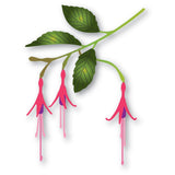 Hardy Fuchsia Buds