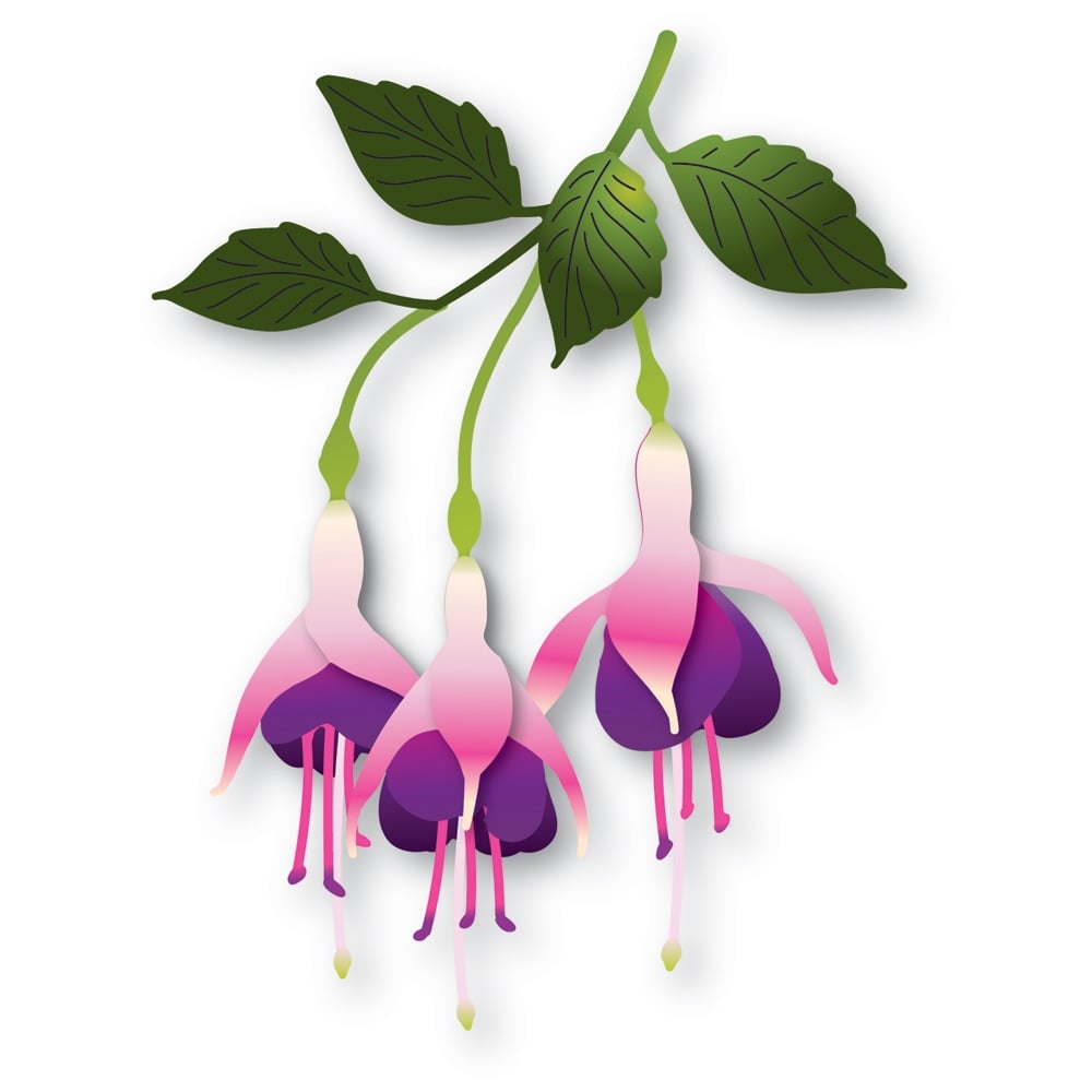 Delicate Fuchsia Trio