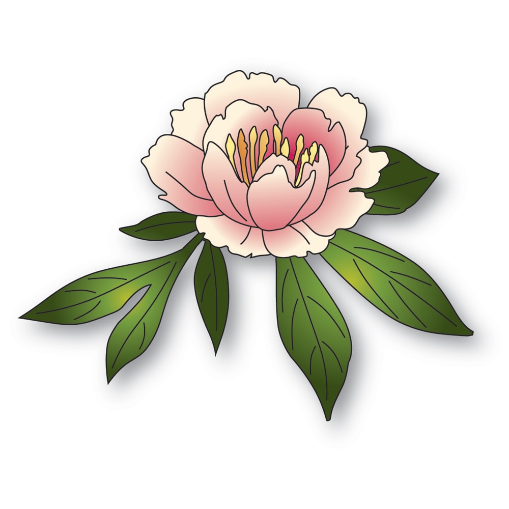 Gentle Peony Bloom