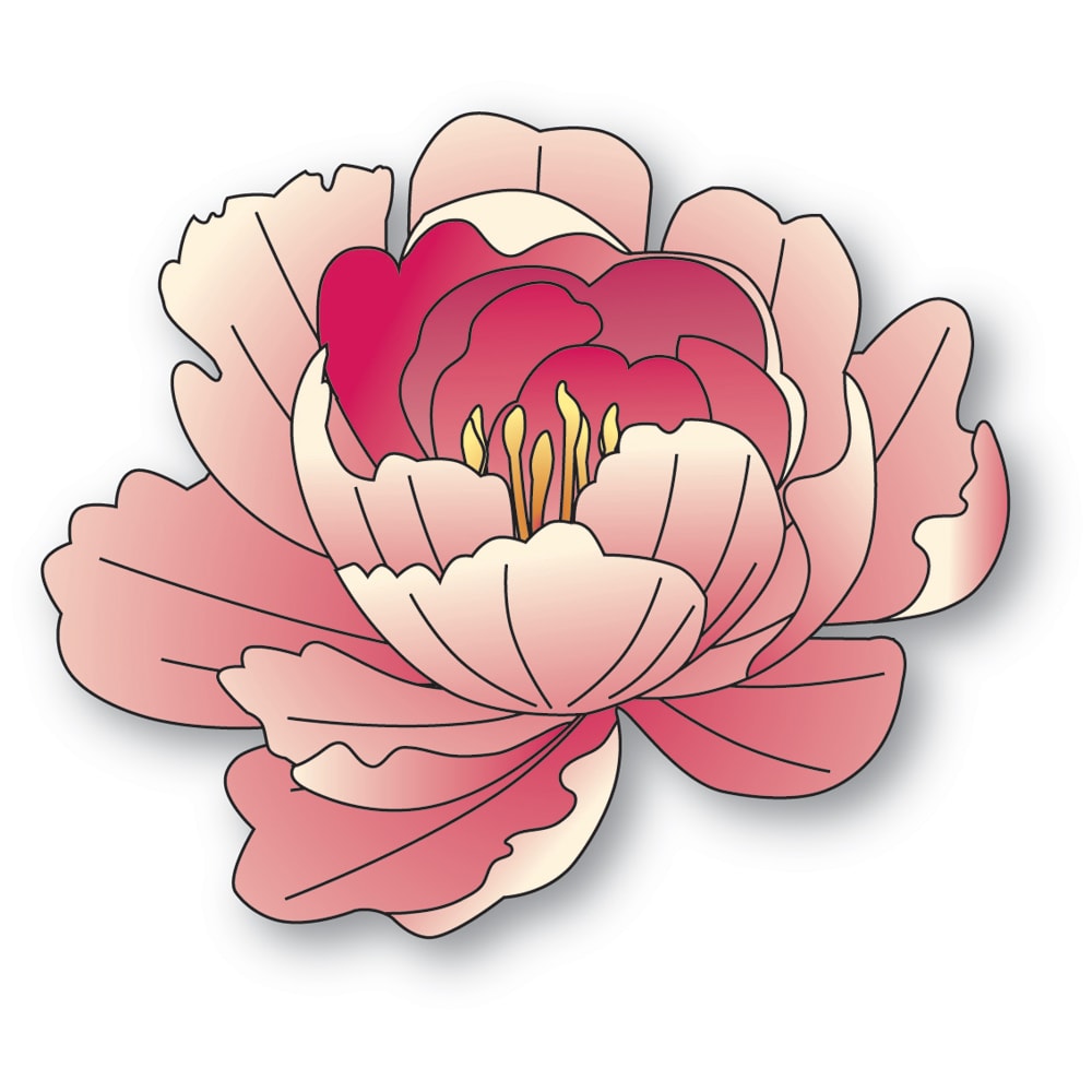 Refined Peony Bloom