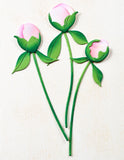 Peony Bud Stems