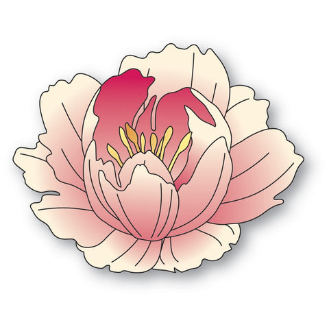 Graceful Peony Blossom