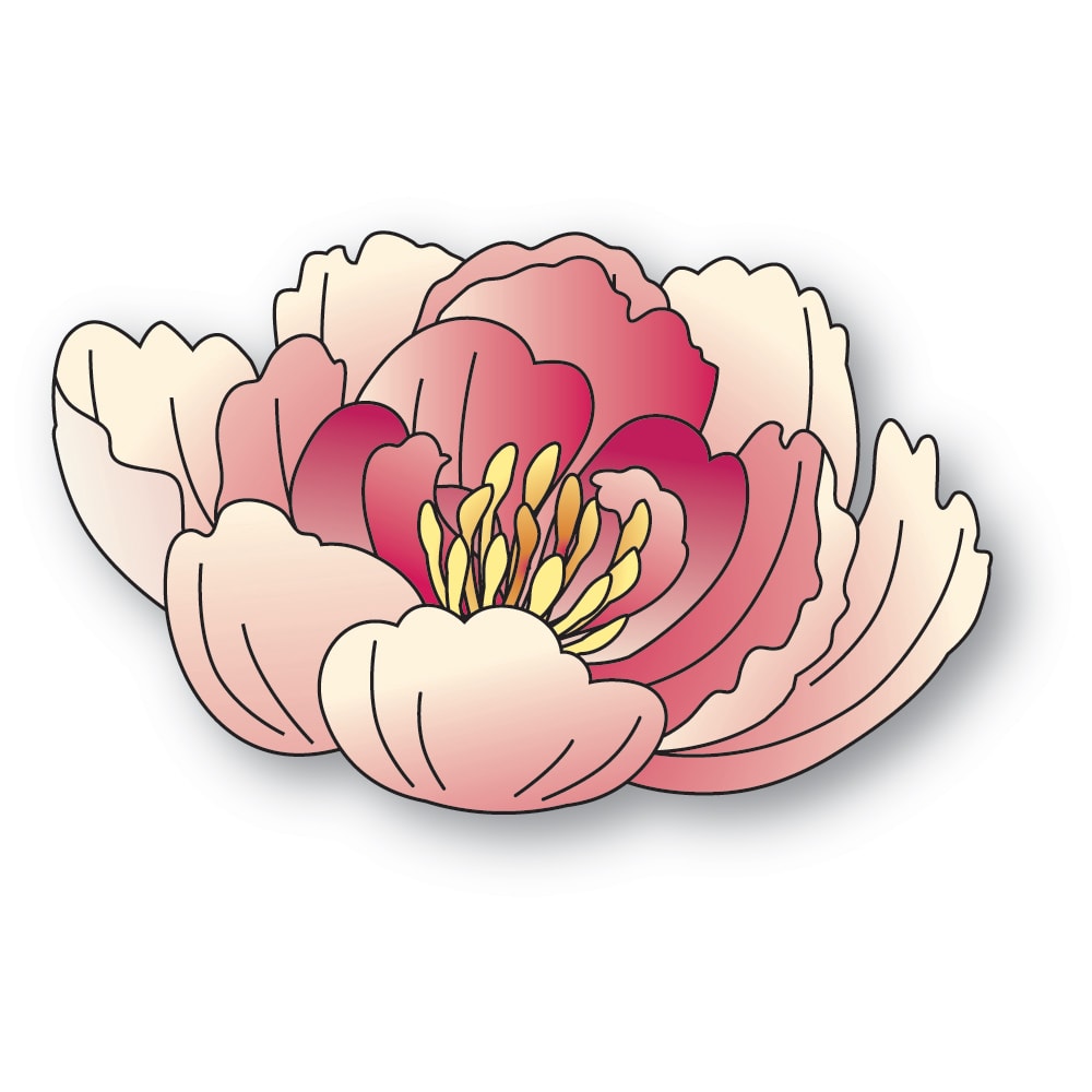 Elegant Peony Blossom