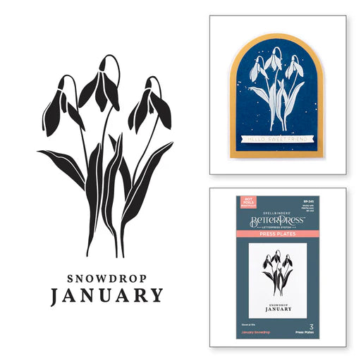 January Snowdrop Press Plates from the Florals Through the Year Collection