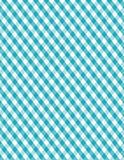Fabulously Glossy Card Stock - Sweet Gingham