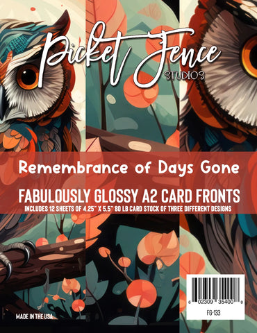 Fabulously Glossy A2 Card Fronts (12 pk)-Remembrance of Days Gone