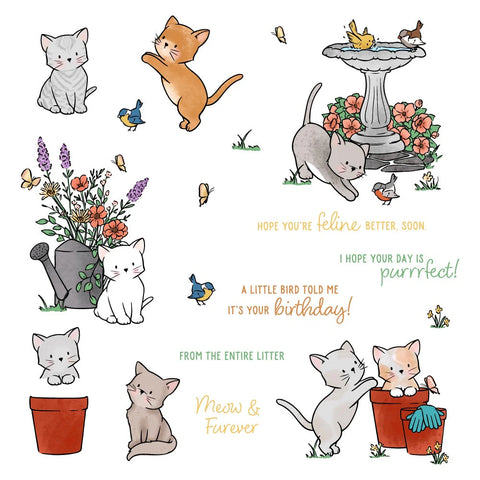 Meow & Furever 6x8 Stamp Set