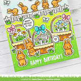 Spring Basket Add-On: Birthday