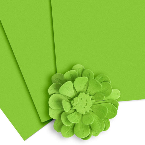 Crafty Necessities: Parrot Cardstock (10 sheets/set)