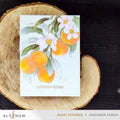 Craft Your Life Project Kit: Tangerine Grove